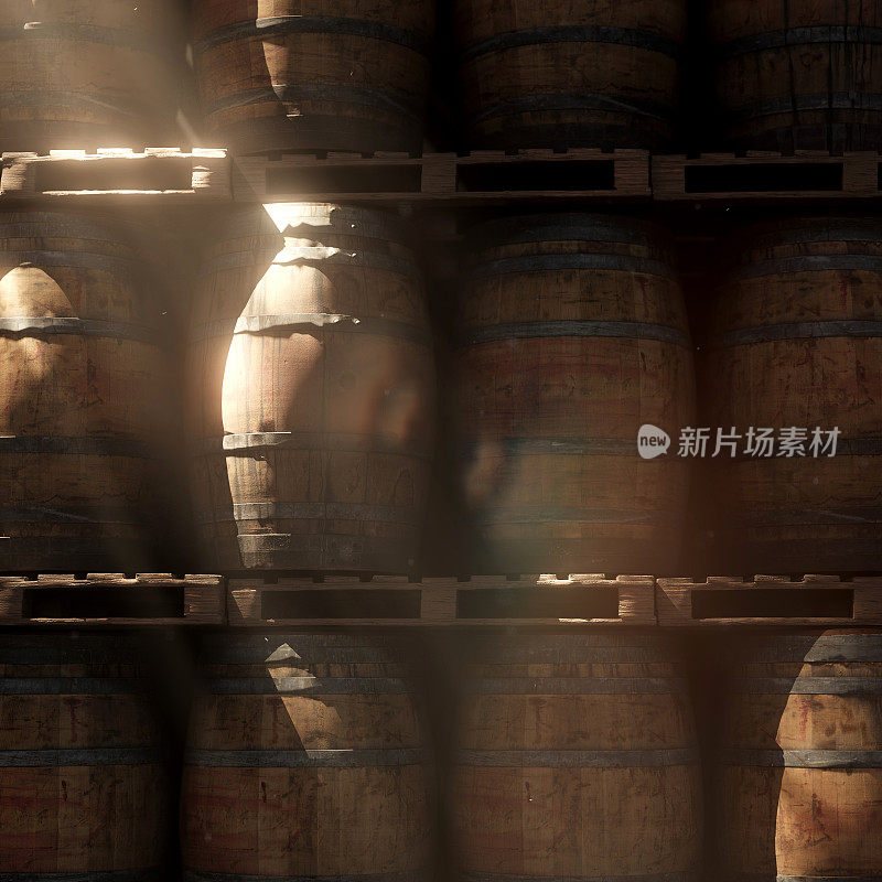 酒桶酒窖Sunray Brewery酿酒